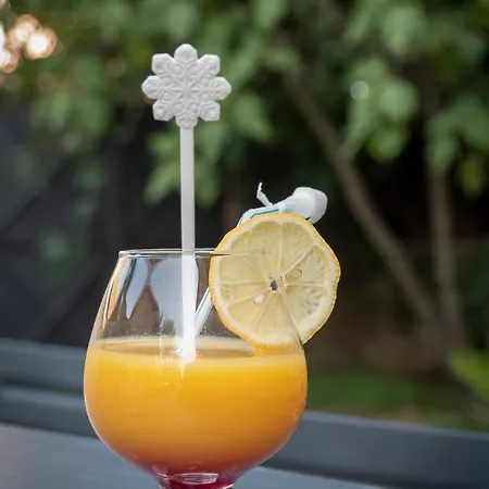 Ξενοδοχείο De L'europe Joyeuse