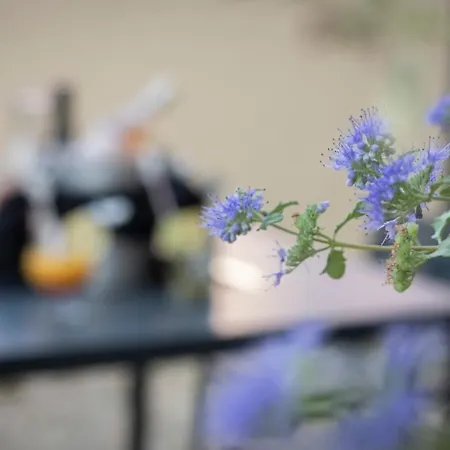 Ξενοδοχείο De L'europe